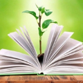 豌豆读书手机软件app
