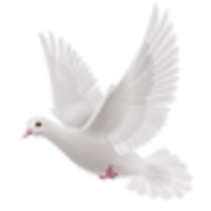 逍遥阁手机软件app