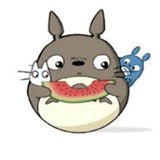 龙猫追剧去广告版下载手机软件app