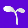 豆芽账手机软件app