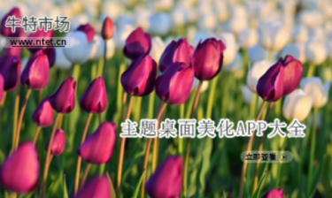 主题桌面美化APP大全