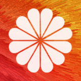 全局动态壁纸手机软件app