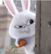 小白兔影视手机软件app