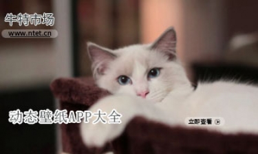 动态壁纸APP大全