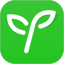 沪江网校手机软件app