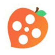 桃源影院手机软件app