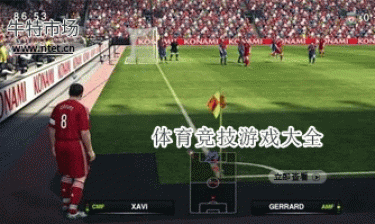 体育竞技游戏大全