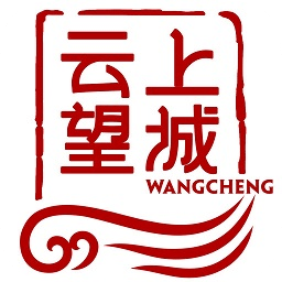 云上望城手机软件app