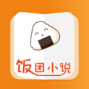 饭团小说手机软件app