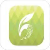 恒叶健康手机软件app