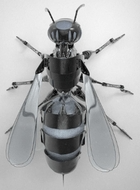 飞蚁TV手机软件app