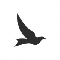 坯雀制造手机软件app