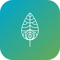 顷松手机软件app