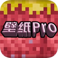 壁纸pro手机软件app