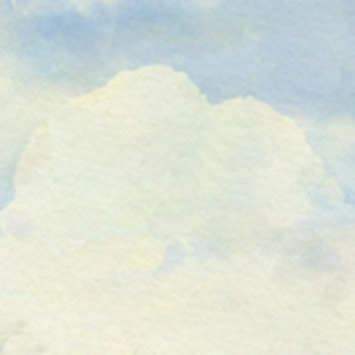 风子秀手机软件app