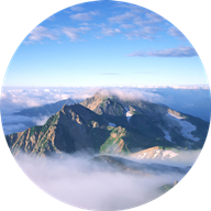 乐笛单词手机软件app