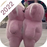 贴贴桌面手机软件app