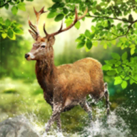 狩猎冲突手游app