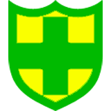 奇式网盾手机专业版手机软件app