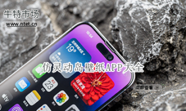 仿灵动岛壁纸APP大全