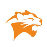 猎豹框架防闪退手机软件app