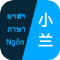 小兰翻译手机软件app
