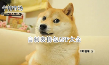 自制表情包APP大全