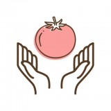 番茄健康手机软件app