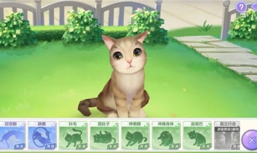 画风很好的猫咪养成类手游合集