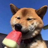 云霄至尊版手机软件app