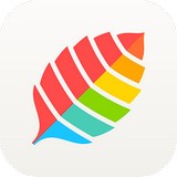 薄荷减肥手机软件app