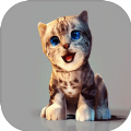 真实小猫3D模拟手游app