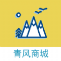 青风商城手机软件app