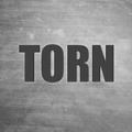 TORN撕裂之城手游app