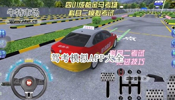 驾考模拟APP大全