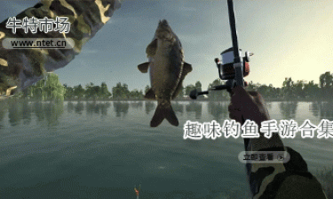 趣味钓鱼手游合集