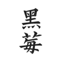 黑莓小说去更新版手机软件app