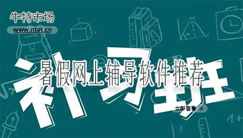 暑假网上辅导软件推荐