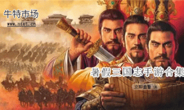 暑假三国志手游合集