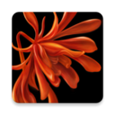 栖家珠宝手机软件app