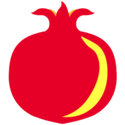 石榴云诊手机软件app