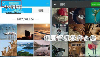 相册管理软件合集