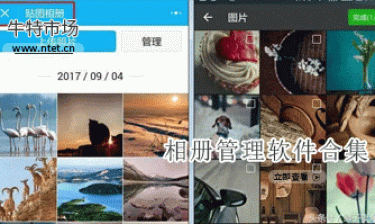 相册管理软件合集