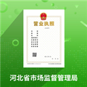 河北云窗办照手机软件app