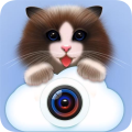 酷我表情照相机手机软件app