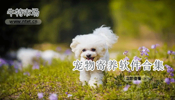 宠物寄养软件合集