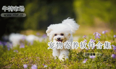 宠物寄养软件合集