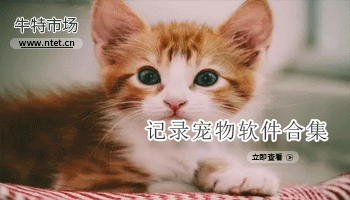 记录宠物软件合集