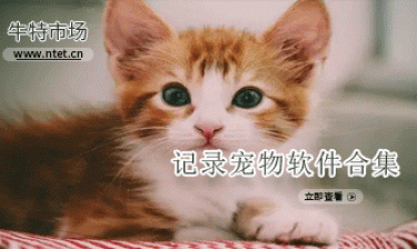 记录宠物软件合集