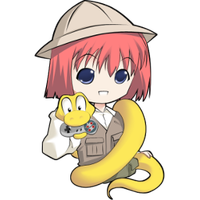 bacchikoisc手游app